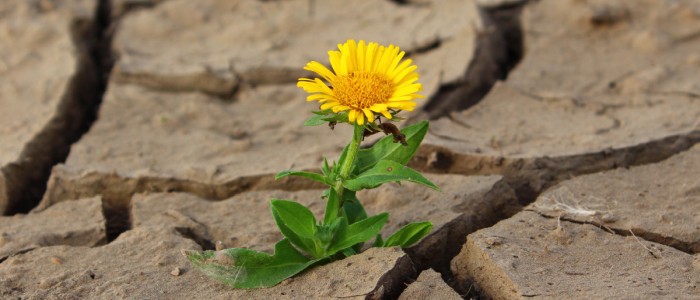 Лікарі призначають назальний спрей окситоцину одиноким людям