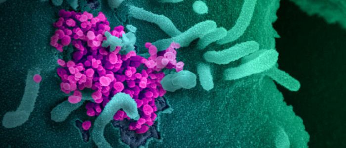 Лікарі підтвердили перший випадок повторного зараження коронавірусом