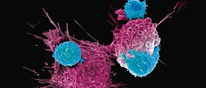 Лікарі борються з пухлинами за допомогою генномодифікованого вірусу