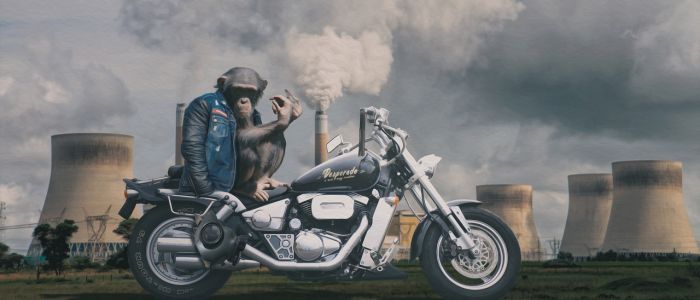 Дурніші люди - лише один з наслідків більш забрудненого майбутнього