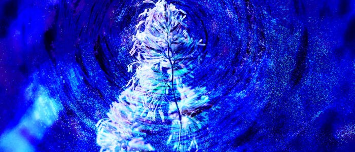 Електрони і кварки можуть мати почуття свідомості