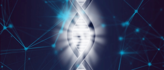 Експериментальне дослідження використовує "егоїстичні" гени