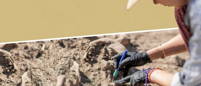 Вимерлий родич людини був здатний виготовляти та використовувати знаряддя праці