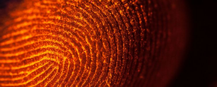 Поліція на-3D-друкувала палець жертви вбивства, щоб розблокувати її телефон