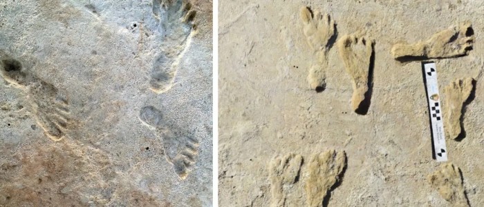 Вчені здивовані відбитками ніг до того, як люди повинні були бути в Америці