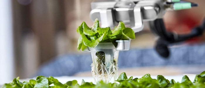 Футуристична роботизована ферма починає продаж своєї продукції