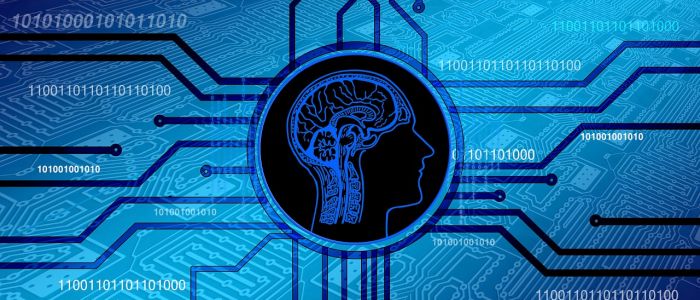 Геймери побудували «цифровий музей», який розблокував нові секрети мозку