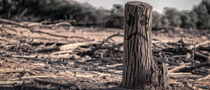 Глобальне потепління гірше, ніж ми думали, каже штучний інтелект