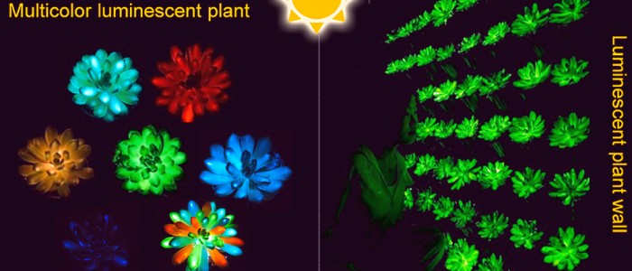 Вчені створили рослини, що світяться в темряві