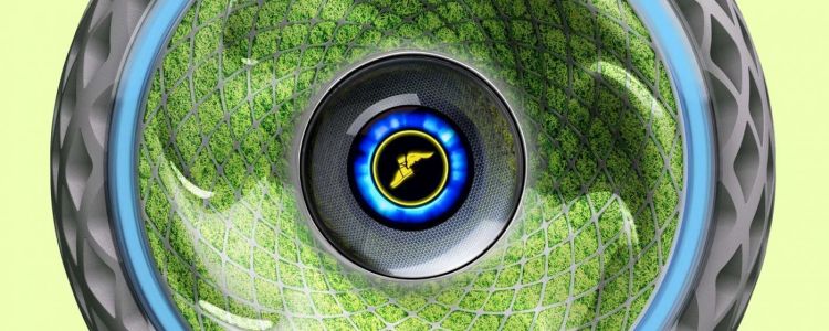 Зустрічайте шини, заповнені мохом, для збереження навколишнього середовища