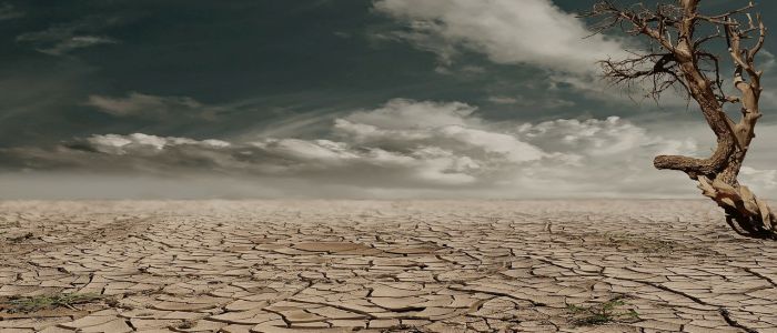 Гугл об'єднується з ООН для вивчення наслідків зміни клімату