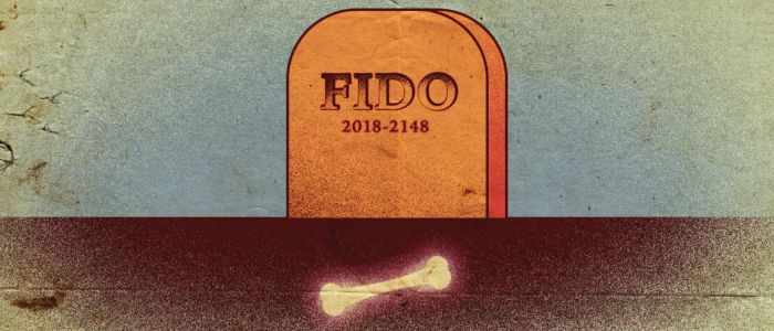 Гарвардський стартап хоче дати найкращим собакам більше життя