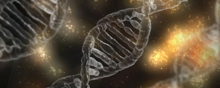 Домашні генетичні тести можуть давати вам помилкові результати