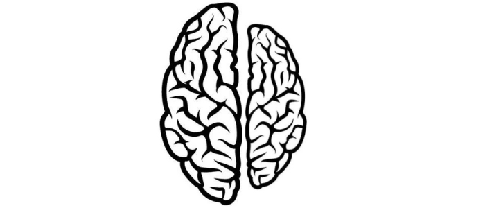 Вчений попереджає, що людський мозок скорочується