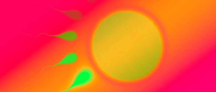 Вчені попереджають, що люди швидко втрачають здатність до розмноження