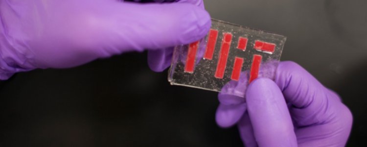 Інженери МТІ розробили новий міцний гідрогель