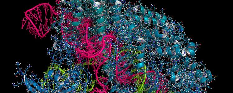 Діагностичний інструмент на основі КРІСПРу може виявляти генетичні мутації та інфекції