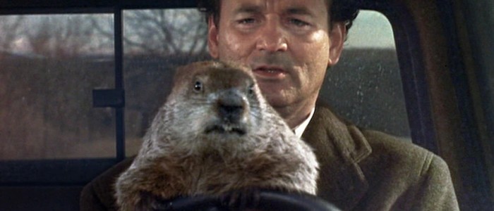 Замість того, щоб передбачити тривалість зими, бабак просто вмер