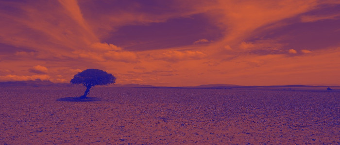 Цей липень офіційно став найспекотнішим місяцем в зареєстрованій історії