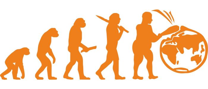 Вирощені в лабораторії неандертальські мінімізки показали, як вони відрізняються від наших