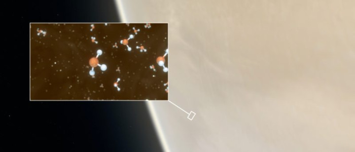 Вчені вважають, що життя на Венері таки було виявлено