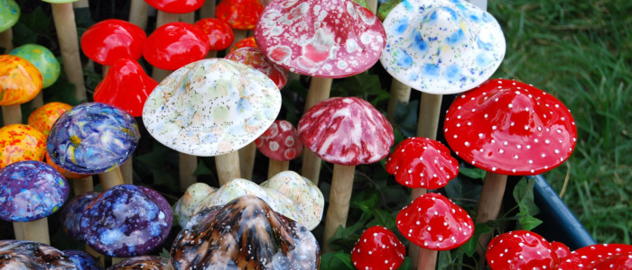 Галюциногенні гриби допомогли 83% пацієнтів позбутися надмірного вживання алкоголю