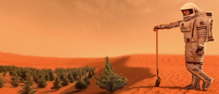 Мікробне видобування може допомогти колонізувати Місяць та Марс
