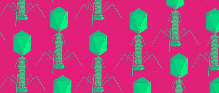 Вчена з МТІ будує батареї з використанням модифікованих вірусів