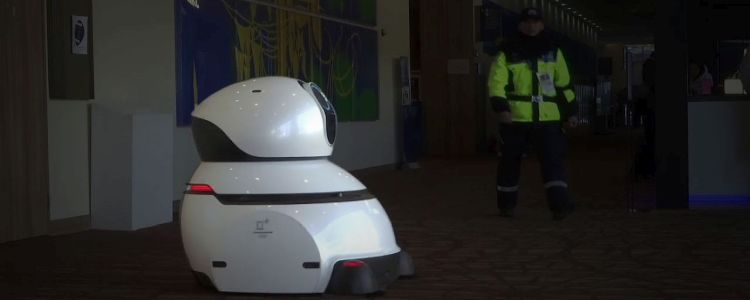 Найцінніші гравці в Пхьончхані: роботи