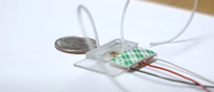 Біосенсор виявляє антитіла до коронавірусу всього за секунди