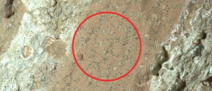 Марсохід NASA виявив можливі ознаки життя на Червоній планеті