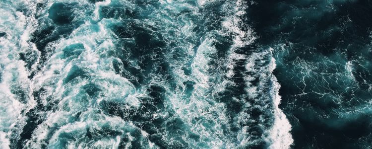 Невідомі раніше віруси з дивною ДНК були виявлені в океані