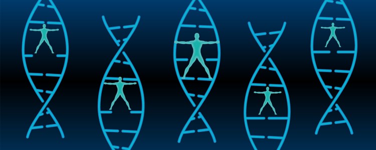 Нове відкриття в області старіння може дозволити людям продовжити термін їх життя