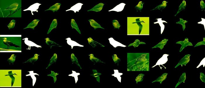 Новий штучний інтелект може створити 3Д модель об'єкта з одного 2Д зображення