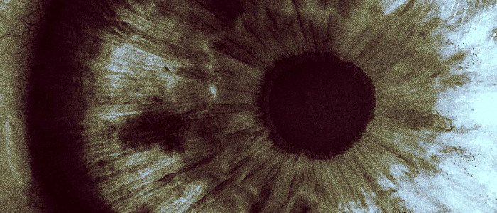 Новий мозковий імплант дозволив сліпій пацієнтці бачити без очей