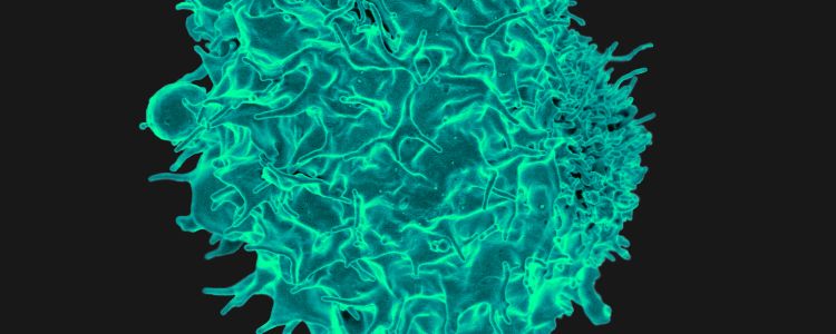 Нові дослідження раку націлені на лікування тих, у кого немає інших варіантів