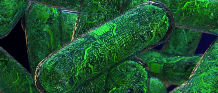 Нове шифрування засноване на випадковому русі живих клітин