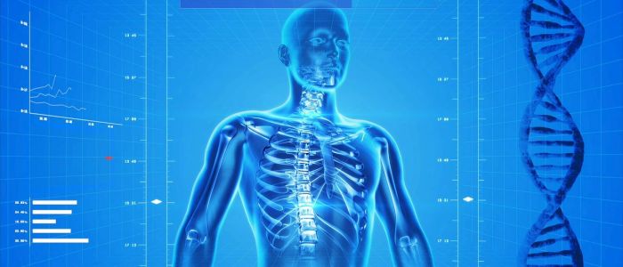 Нова генна терапія може зшити пошкоджений спинний мозок