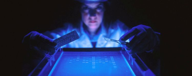 Нове дослідження генетичних даних показує, що люди все ще розвиваються