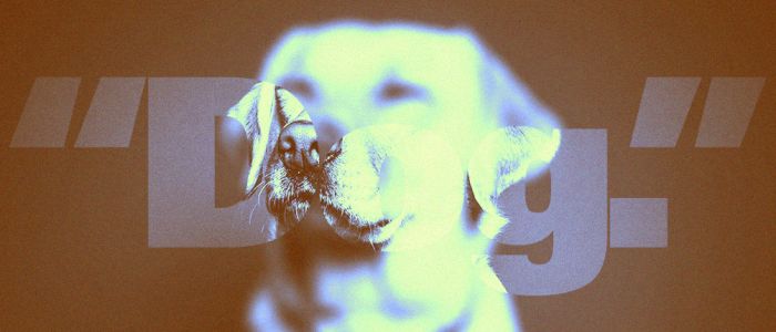 Новий додаток Гугла описує об'єкти для сліпих людей