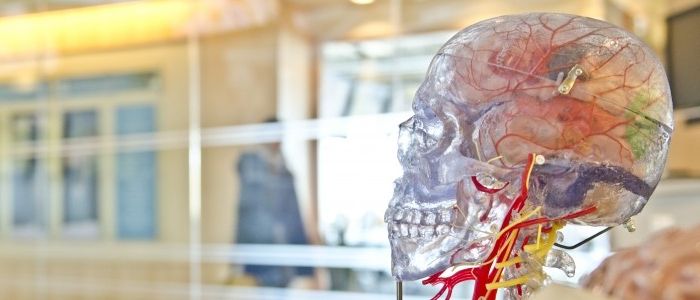 Новий желеподібний нейронний імплантат усуває необхідність свердлити мозок