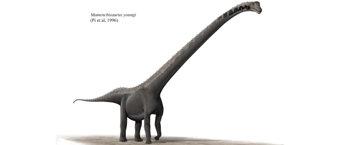 Відкрито новий вид травоїдних динозаврів