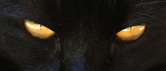 Новий квантовий пристрій може «генерувати всі можливі варіанти майбутнього»