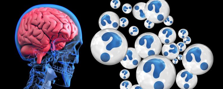 Нове дослідження показує, як мозок обробляє наш досвід