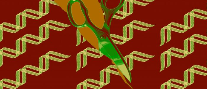 Нові правила прибирають припущення з редагування генів людини