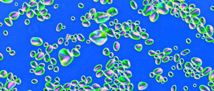 Нова терапія перетворює ракові клітини молочної залози в нешкідливий жир