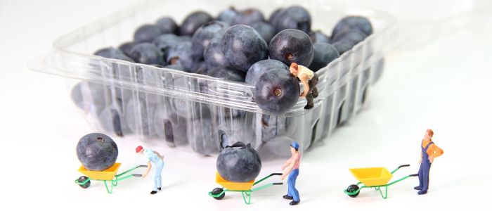 Нова терапія перетворює пухлини в «фабрики протиракових вакцин»