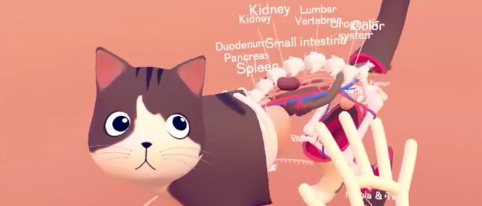 Нова демонстрація віртуальної реальності покаже вам нутрощі кішки