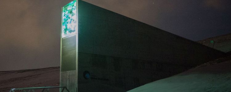 Всесвітнє зерносховище «Кінець світу» в Норвегії отримує 13 мільйонів доларів