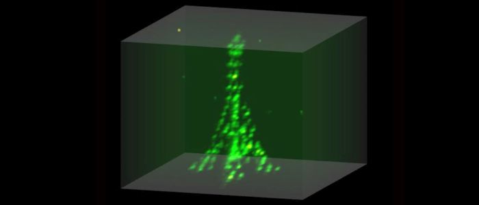 Тепер ми можемо простіше маніпулювати окремими атомами